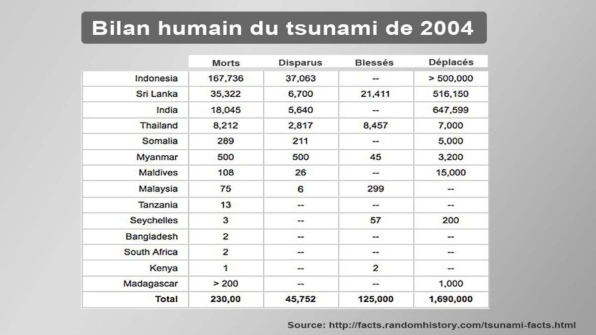 Le bilan humain du tsunami de 2004 dans l'océan Indien.