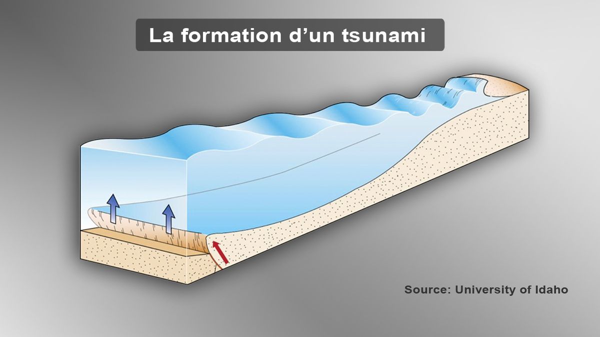 La formation d'un tsunami.