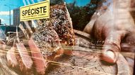 La mention "Spéciste" est régulièrement collé sur des publicités pour la viande, comme ici à Genève. [Mouna Hussain - DR]