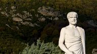 Aristote, l'un des penseurs les plus influents que le monde ait connu, a abordé presque tous les domaines de connaissance de son temps: biologie, physique, métaphysique, logique, poétique, politique, rhétorique... [Panos - fotolia]