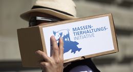 L'initiative "Pas d’élevage intensif en Suisse" avait été déposée le 17.09.2919 à Berne. [Peter Klaunzer - Keystone]