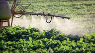 En 2023, la Suisse n'a jamais autant permis l'utilisation de pesticides. [Depositphotos - simazoran]