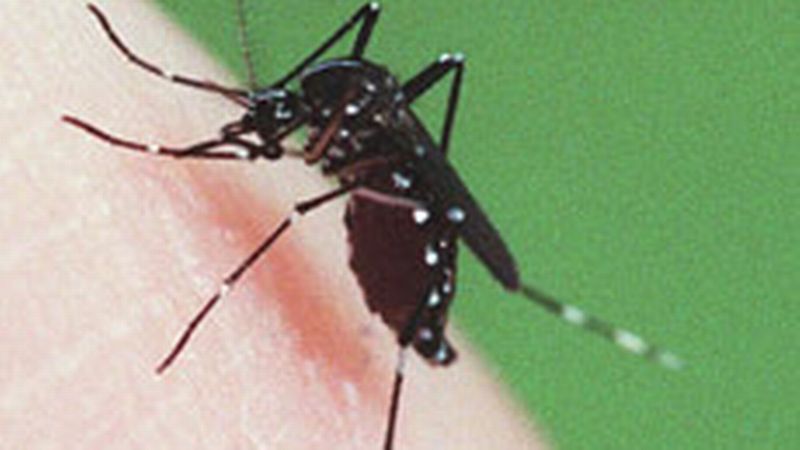 ABE teste les anti-moustiques - Enquête sur le pillage des données  personnelles des voyageurs par les Etats-Unis - - RTS.ch