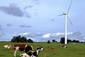 L'énergie éolienne pourrait représenter un quart de la consommation vaudoise actuelle. [Keystone]
