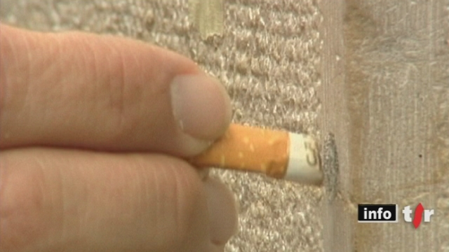 GE: l'interdiction de fumer dans les lieux publics entraînerait près de 20% d'hospitalisation en moins pour des affections respiratoires