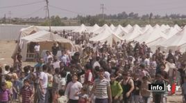 Réfugiés syriens en Turquie : reportage à Guveci, village situé à quelques mètres de la frontière syrienne [DR]