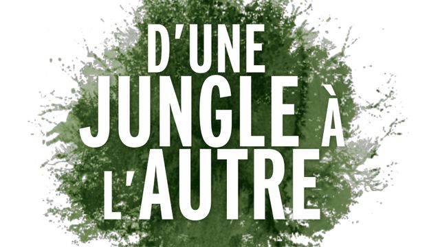 "D'une jungle à l'autre", une série à découvrir sur RTS Un depuis le 27 avril 2012. [RTS]
