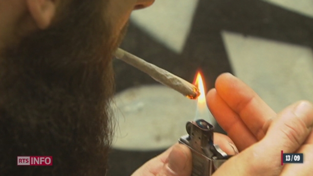 Consommation de cannabis: le Conseil national souhaite que cela soit sanctionné d'une amende de 200 francs