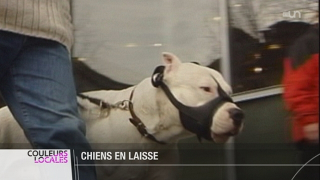 Le canton de Vaud veut durcir la loi sur les chiens