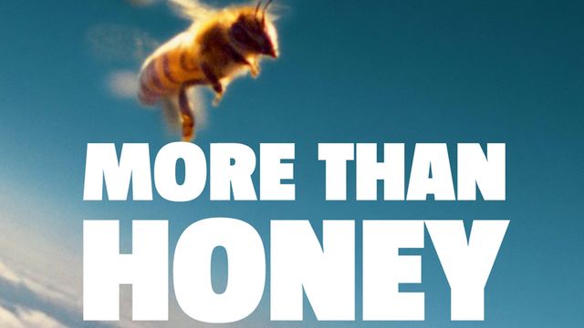 L'affiche du film "More Than Honey". [frenetic.ch]