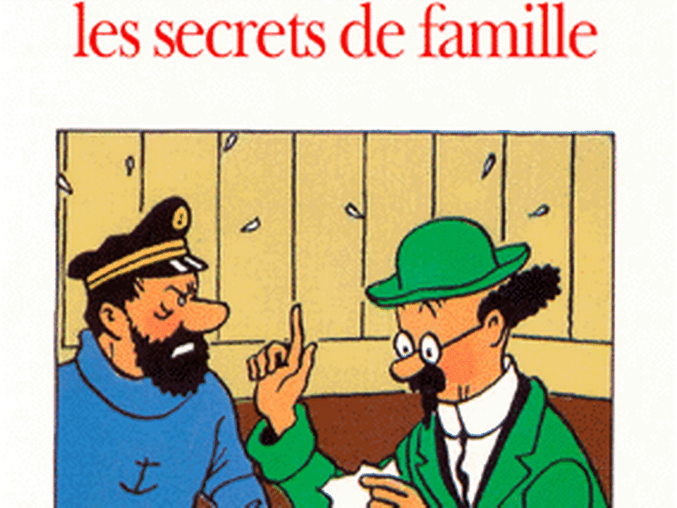 Tintin et les secrets de famille d'Hergé. [Couverture du livre de Serge Tisseron, éd. Aubier.]