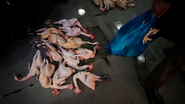 L'inquiétude grandit en Chine autour des volailles infectées par une nouvelle souche de grippe aviaire. [Carlos Barria - Reuters]
