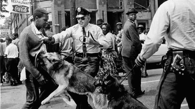 La police de Birmingham (Alabama) lâche ses chiens contre les manifestants, 3 mai 1963. [Bill Hudson - AP/Keystone]