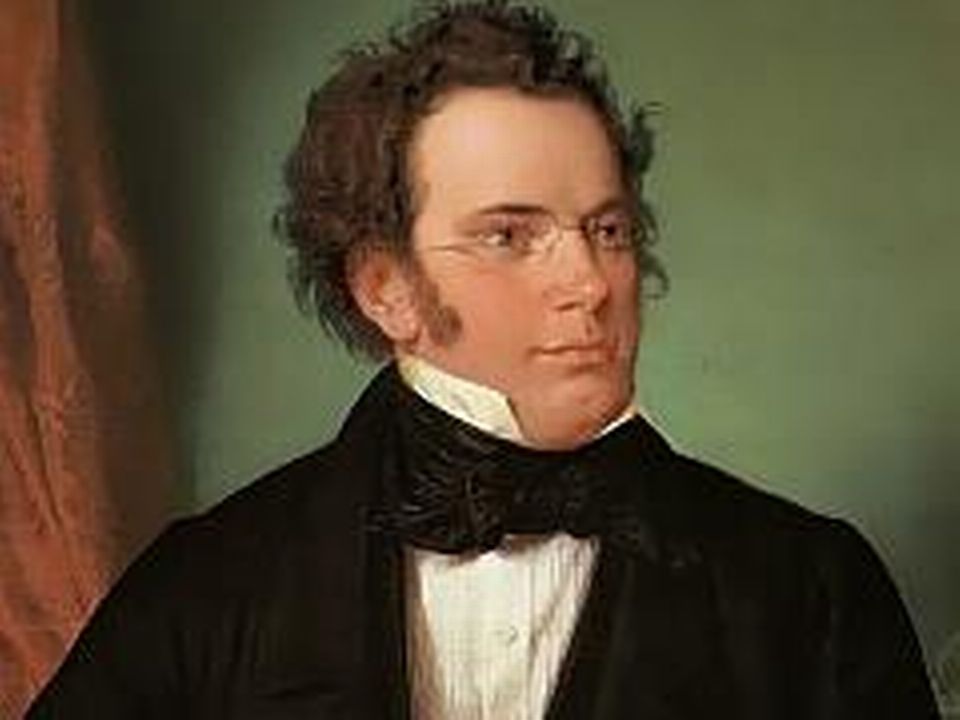 Franz Schubert par Wilhelm August Rieder, 1875 [Wikicommons]