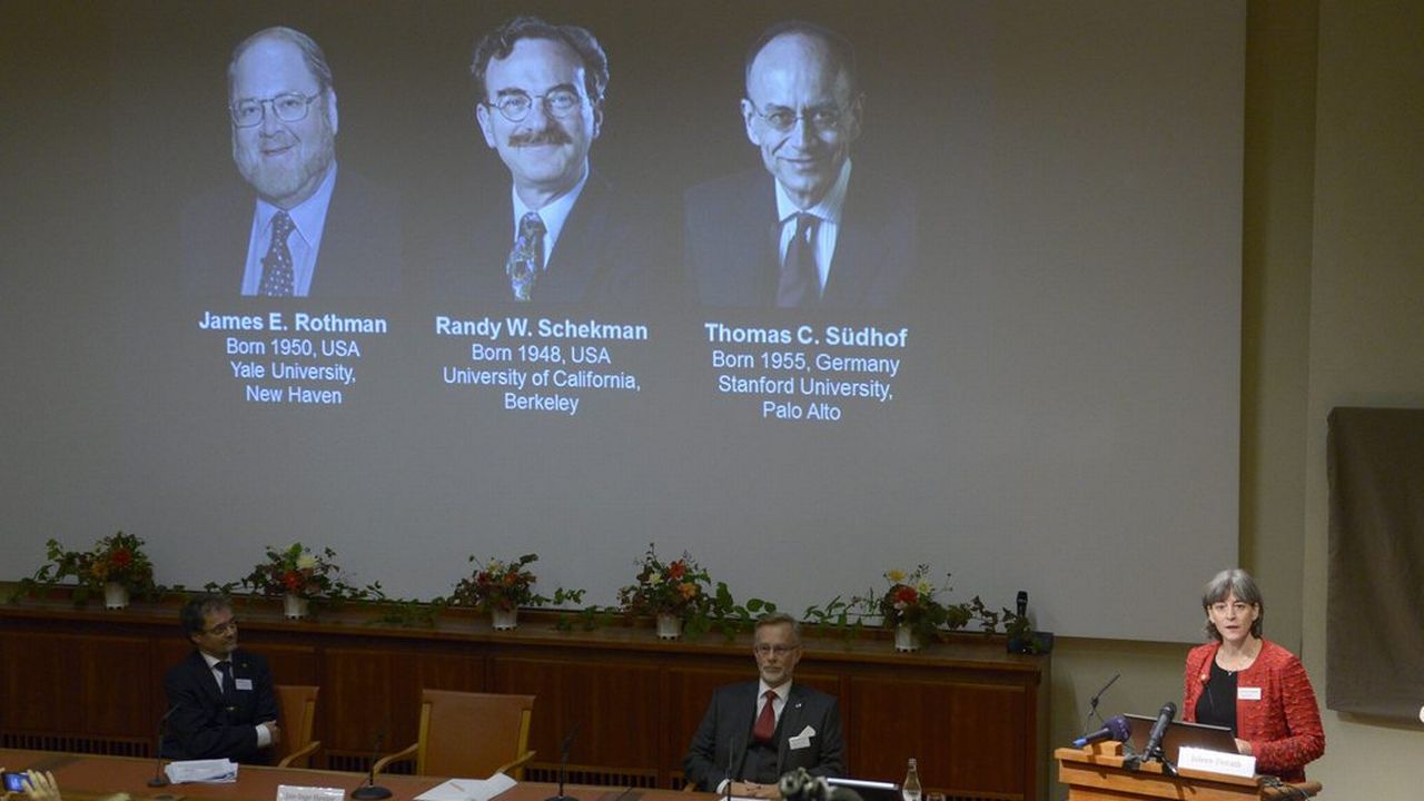 James Rothman, Randy Schekman et Thomas Suedhof récompensés par le prix Nobel de médecine. [AP Photo/ TT News Agency Janerik Henriksson - Keystone]