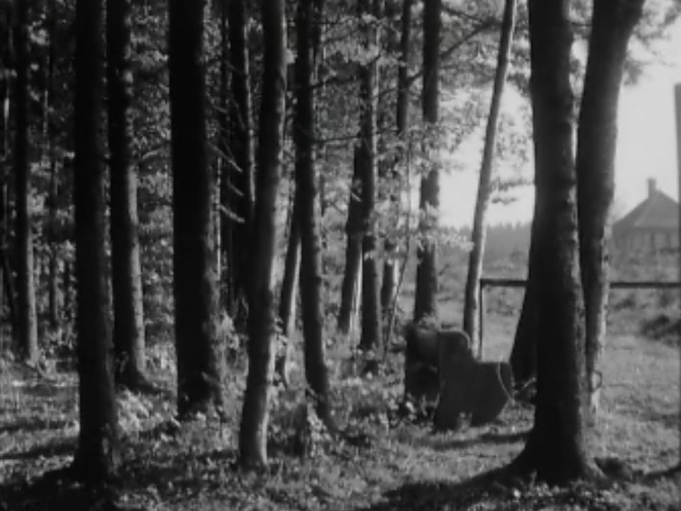 A la lisière de la forêt du Jora en 1960. [RTS]