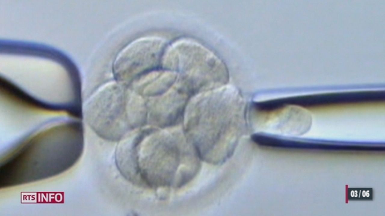 Le Parlement débat sur le choix du bon embryon lors d'une fécondation in vitro [RTS]
