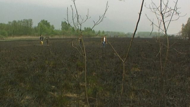 Incendie à la réserve naturelle des Grangettes en 1992. [TSR]