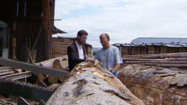 Du bois détruit par Lothar devient aide humanitaire pour Haïti. [RTS]
