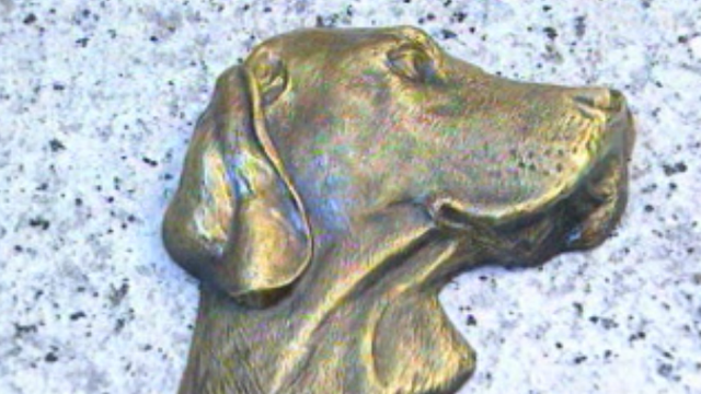 Stèle pour chien du cimetière des animaux de Lausanne. [RTS]