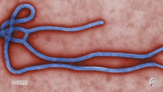 Fièvre Ebola: le recours à des traitements expérimentaux semble avoir un effet bénéfique [RTS]