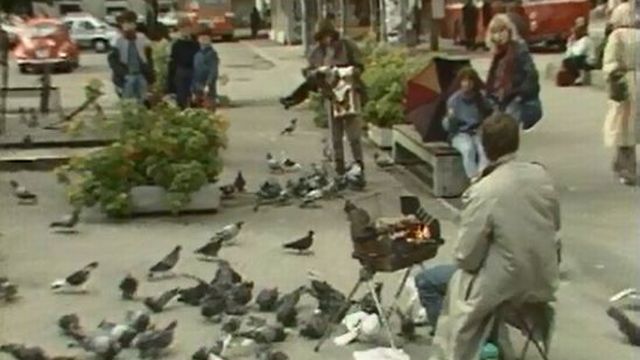 Les pigeons des villes sont bien meilleurs à la broche. [RTS]