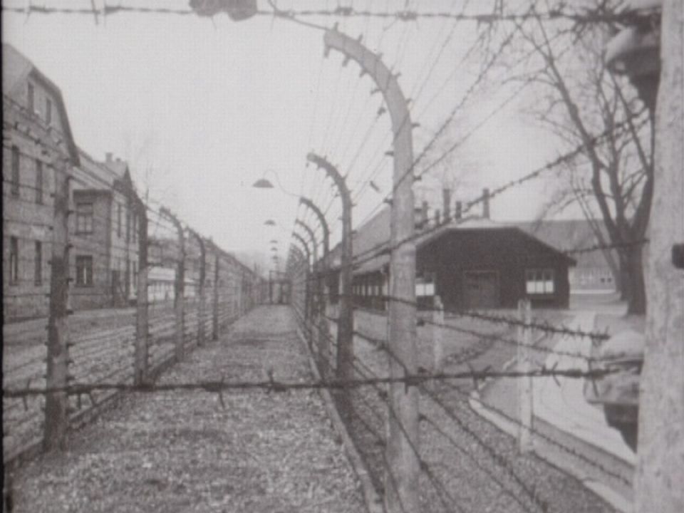 Le camp de concentration d'Auschwitz après la libération. [RTS]