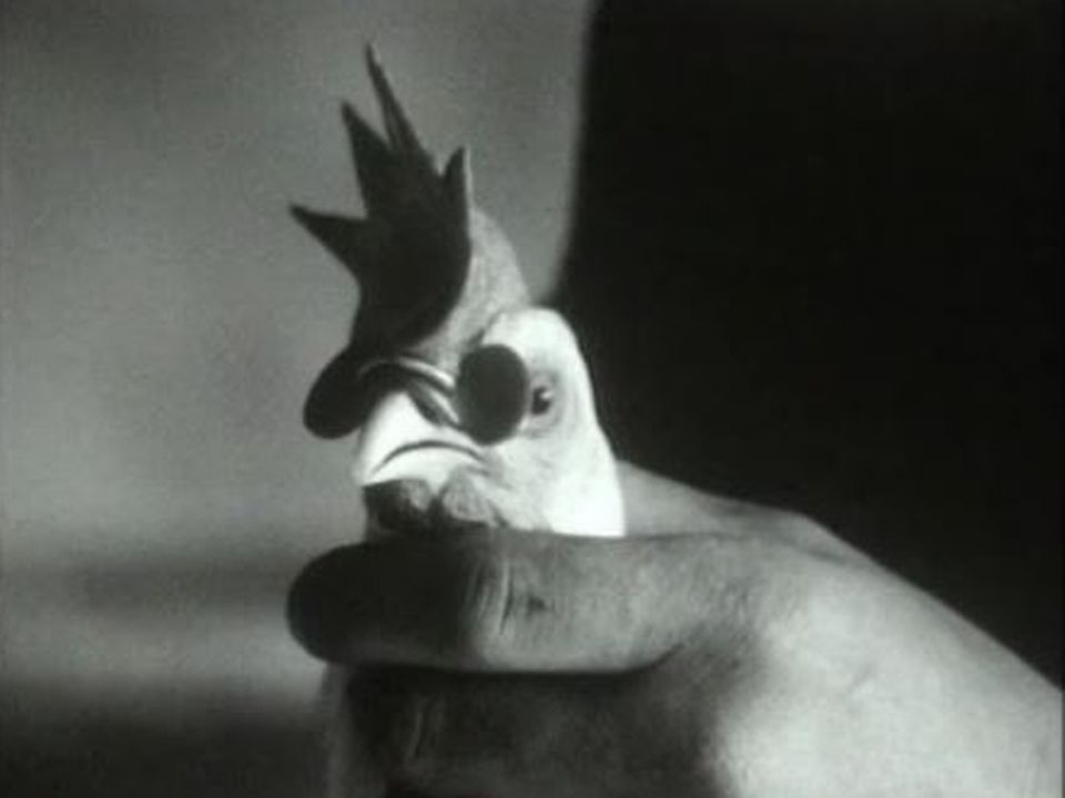 Les poules voient la vie en rose dans "Horizons" du 1er avril 1968. [RTS]