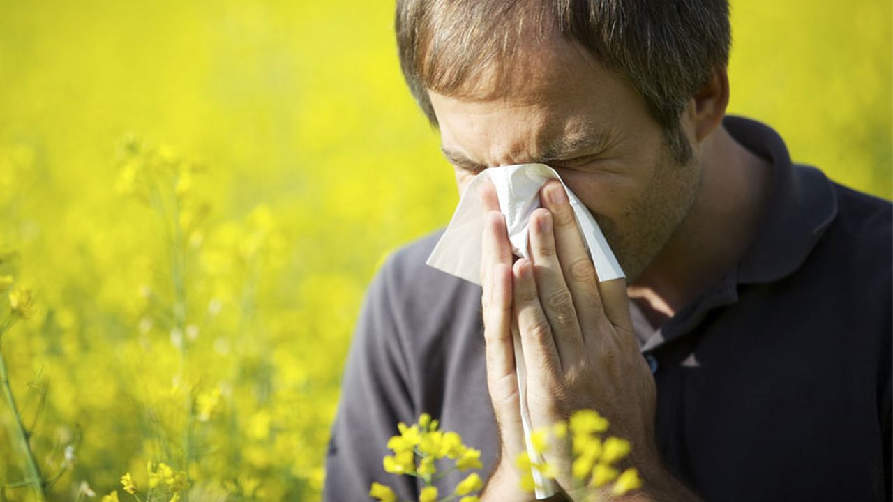 Les allergies aux pollens touchent de très nombreuses personnes en Suisse. 
Lichtmeister
Fotolia [Lichtmeister - Fotolia]