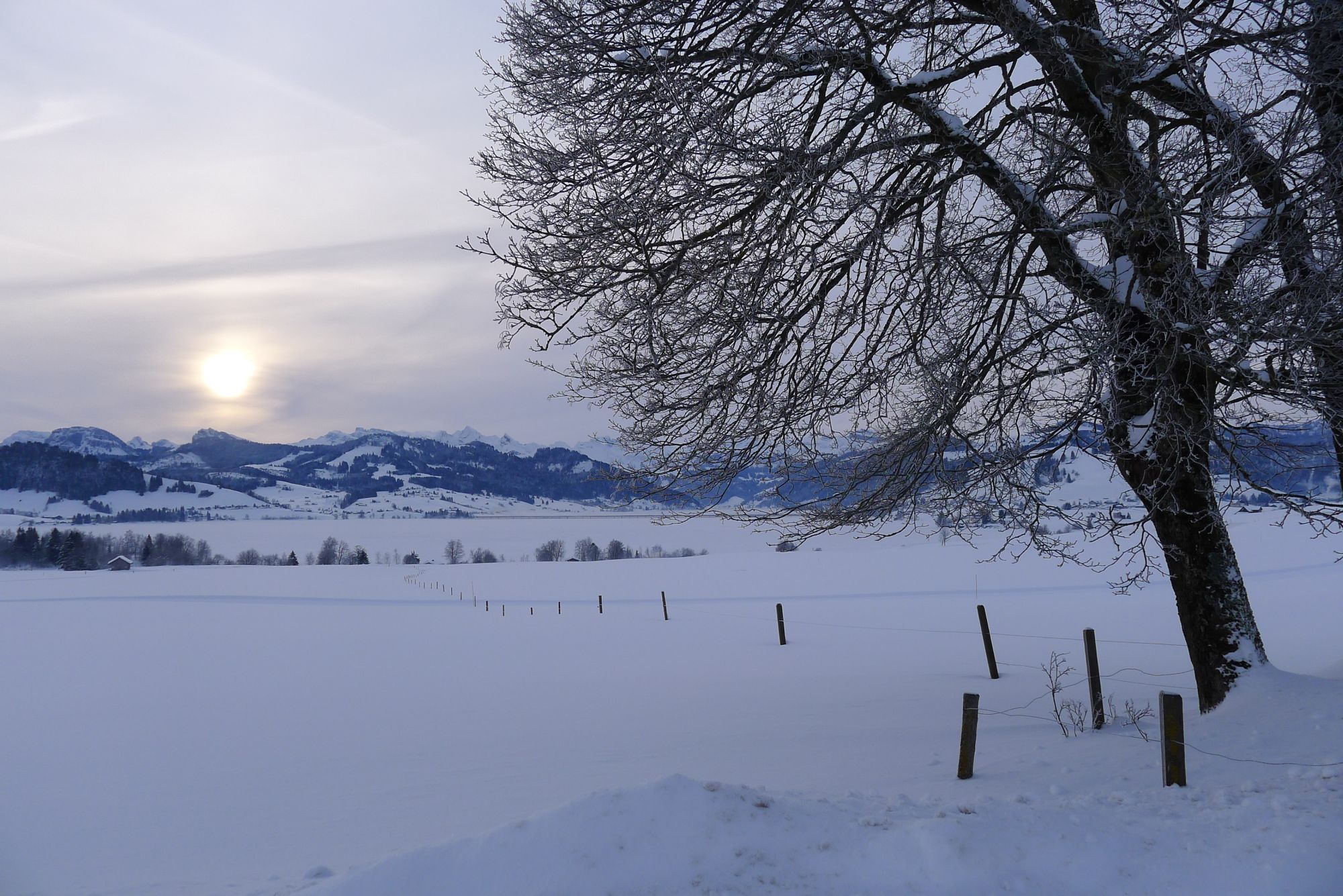 Région du Sihlsee par un matin d'hiver.