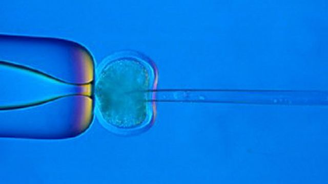 Le diagnostic préimplantatoire permet de détecter des maladies héréditaires chez l'embryon conçu in vitro avant de le réimplanter dans l'utérus. [Roslin Inst./ddp/dapd - Keystone]