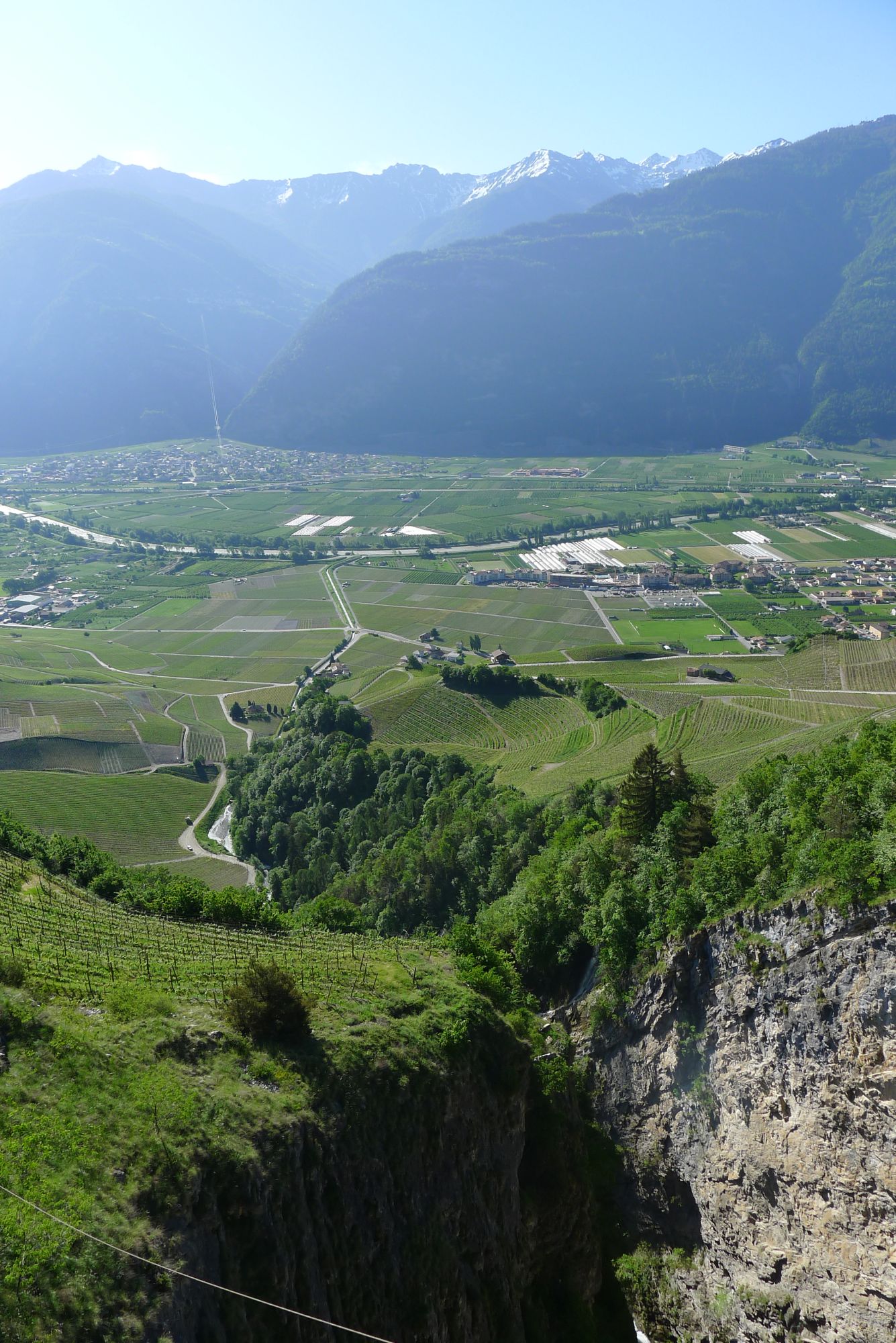 Vue sur les vignes et la vallée du Rhône.