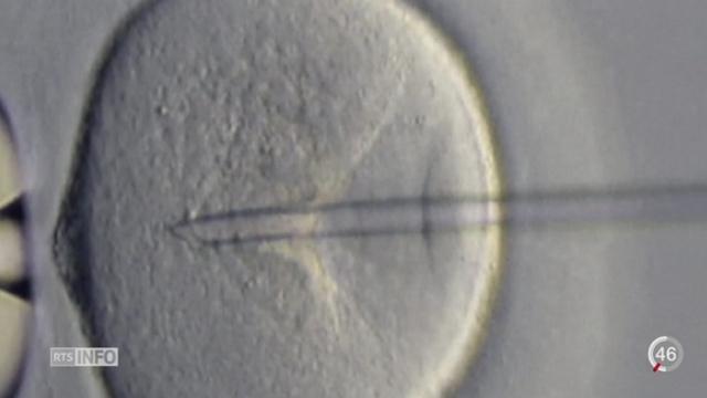 Des chercheurs français ont mis au point des spermatozoïdes fabriqués in vitro [RTS]