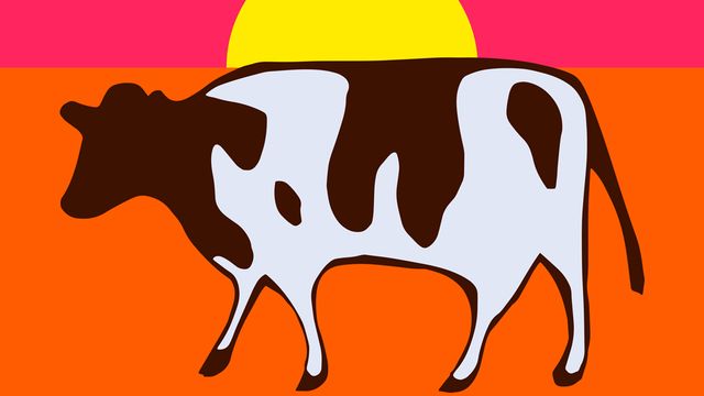 Aristote et les biologistes ne sont pas d'accord sur la nature d'une vache. [brimeux - Fotolia]