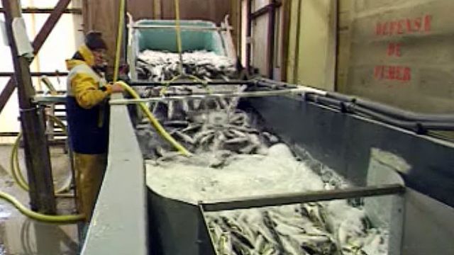 La pêche industrielle répond à la demande des consommateurs.