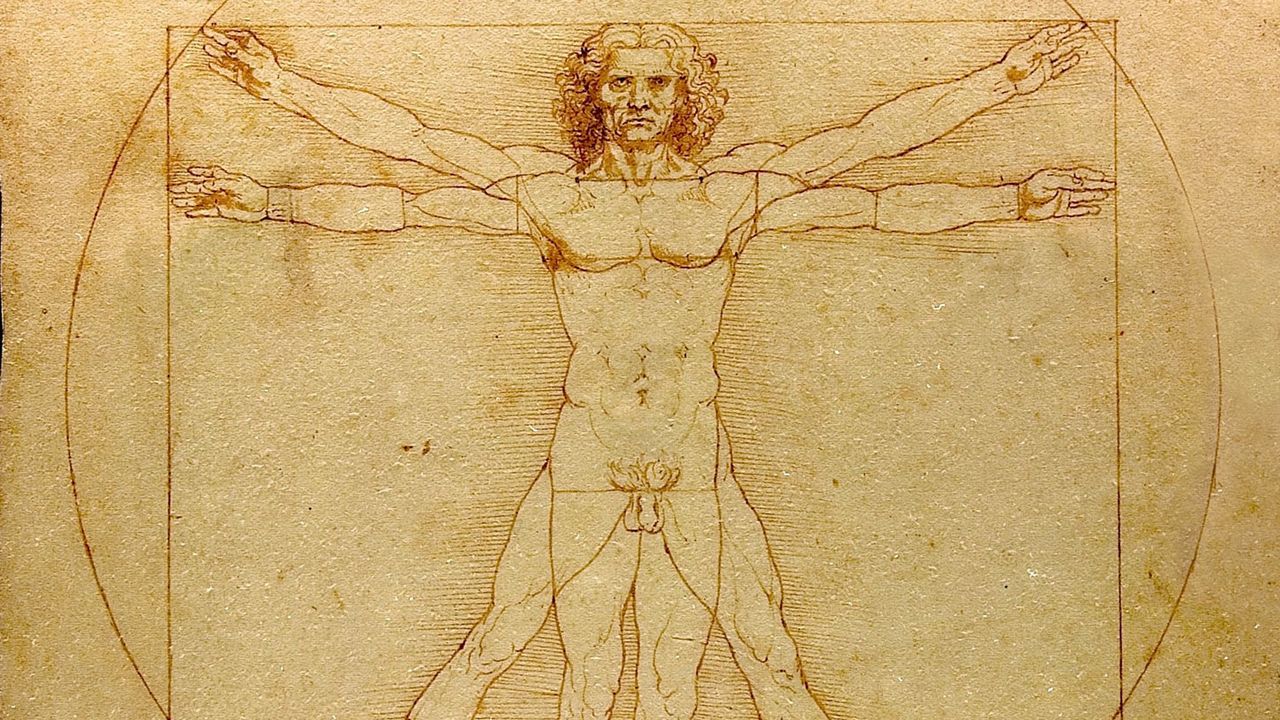 "L'homme de Vitruve" de Léonard de Vinci. [Wikipédia]