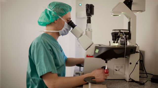 Un test menés sur des ovocyes fécondés dans le centre de médecine reproductive de Zurich. [Gaetan Bally - Keystone]