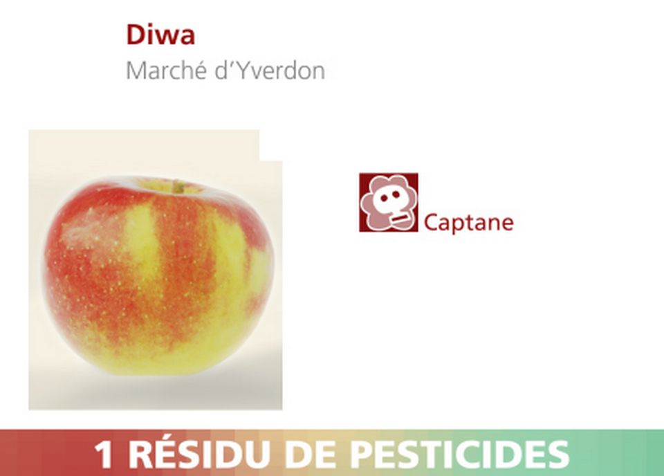Pommes Diwa du Marché d'Yverdon. [RTS]