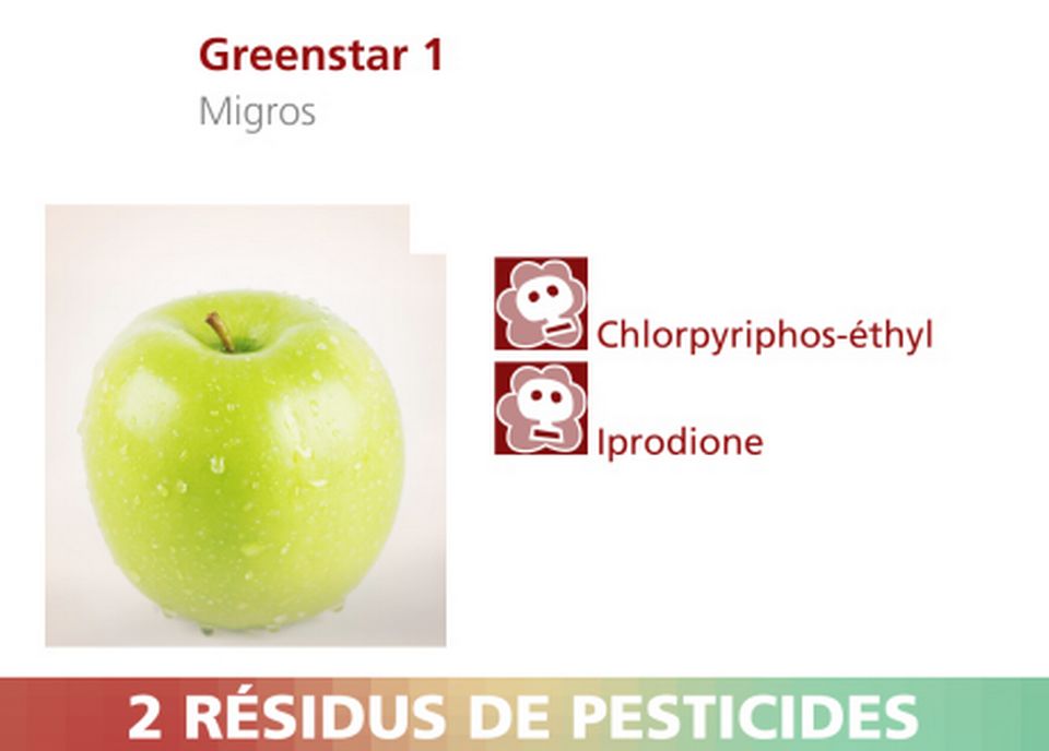 Pommes Greenstar 1. [RTS]