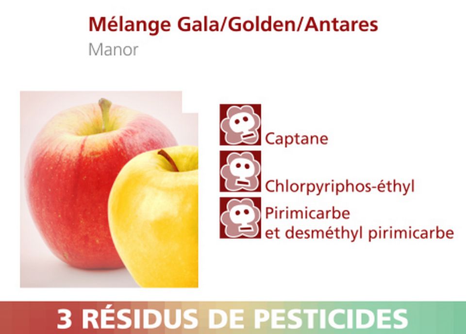 Mélange de pommes Gala-Golden et Antares de Manor. [RTS]