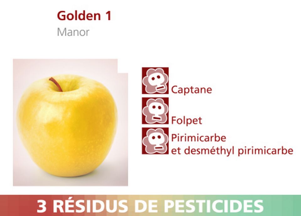Pommes Golden 1 de Manor. [RTS]