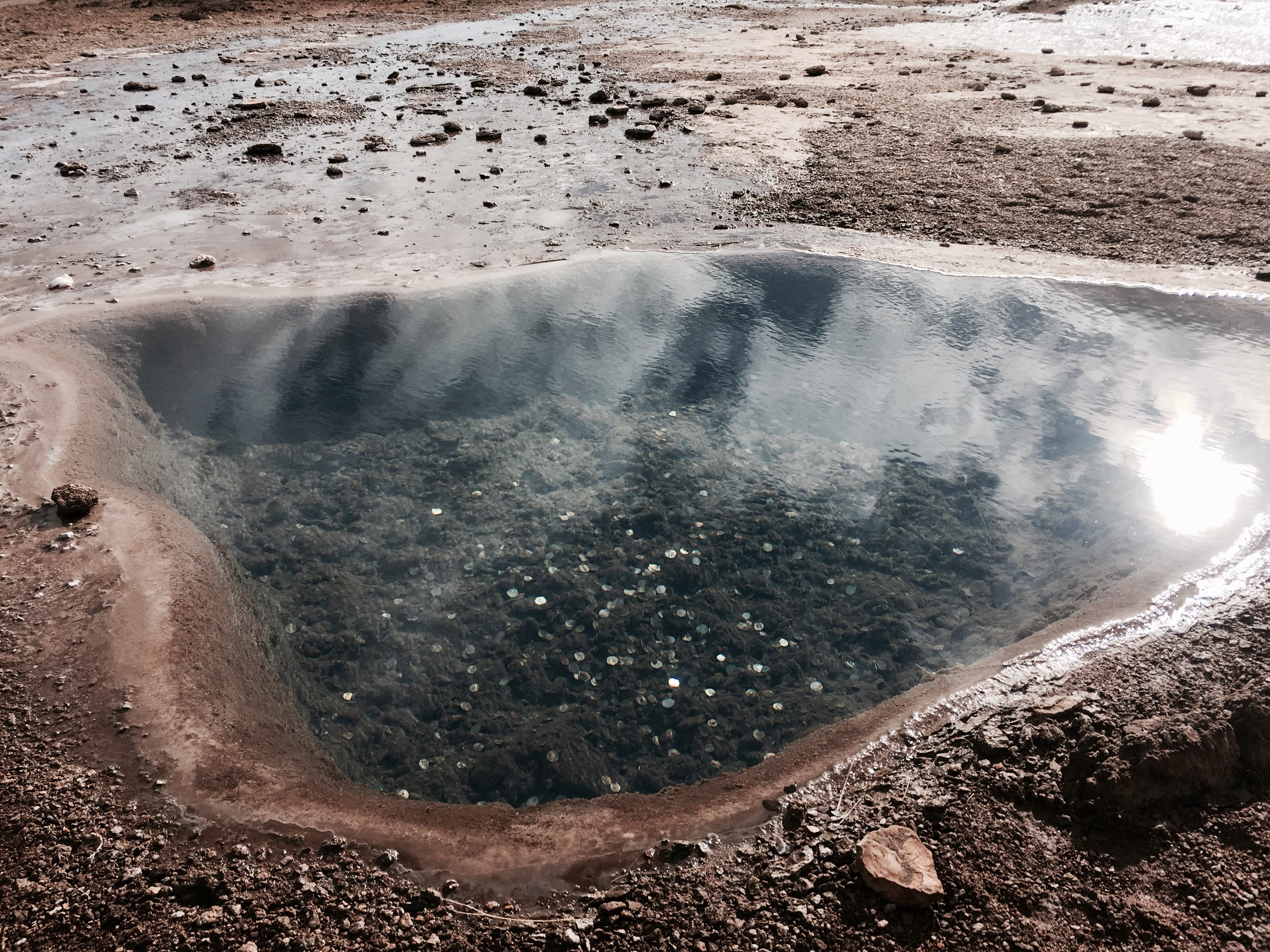 Pièces de monnaie au fond d'un bassin d'eau chaude.