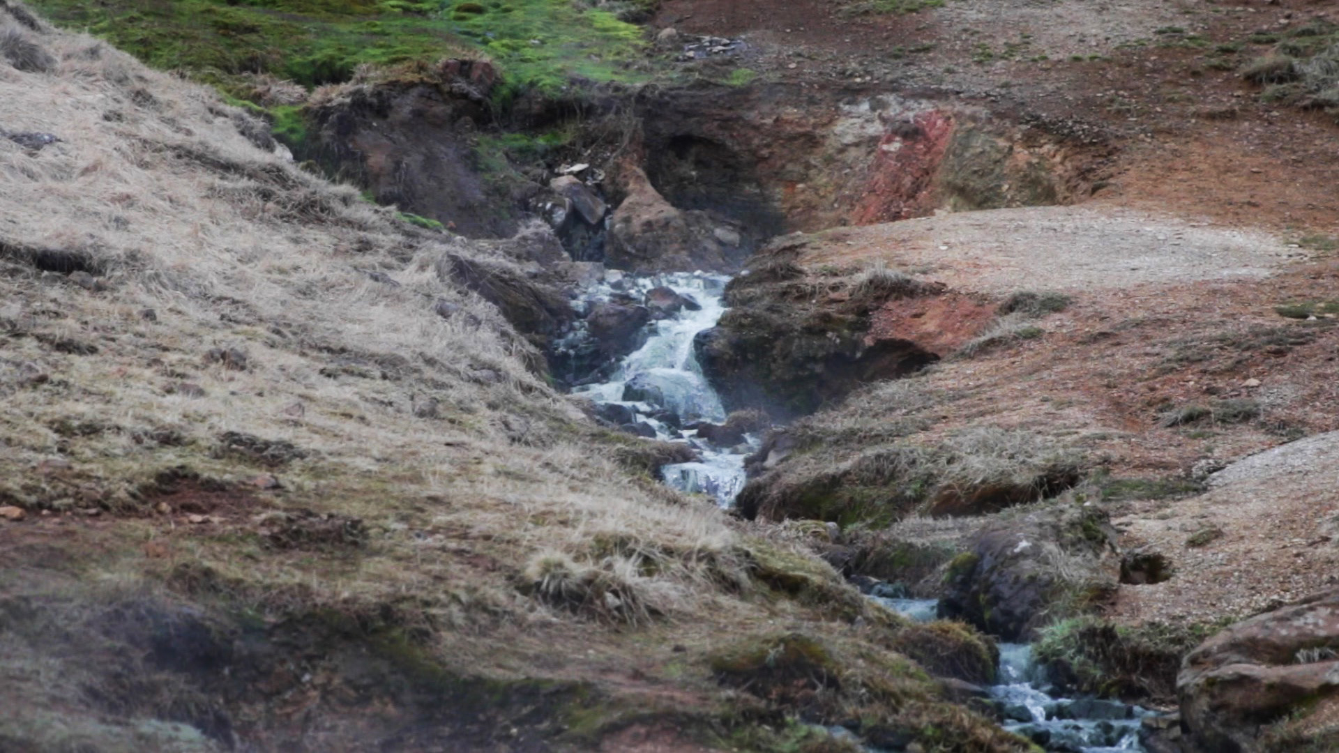 Les extrêmophiles - Ruisseau d'eau chaude.
