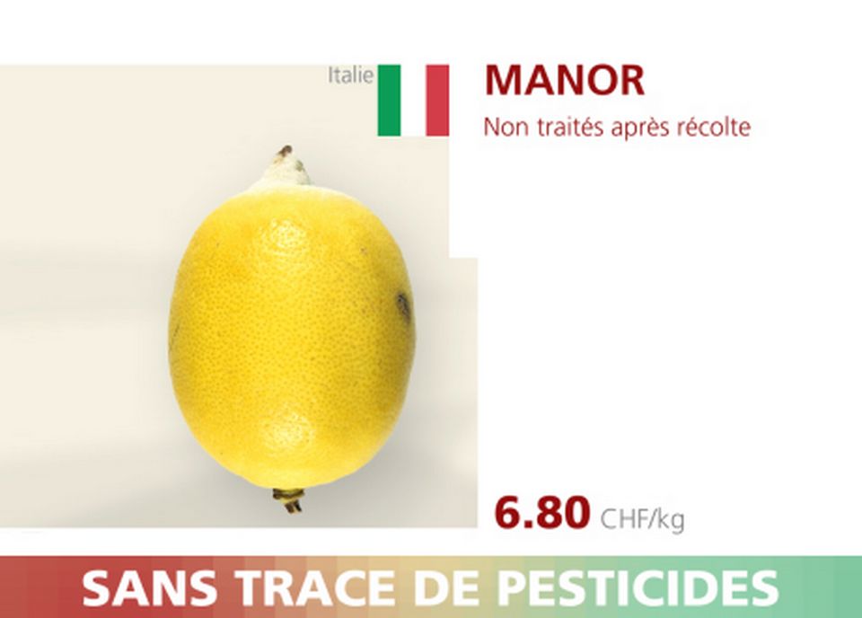 Citron - Manor. [RTS]