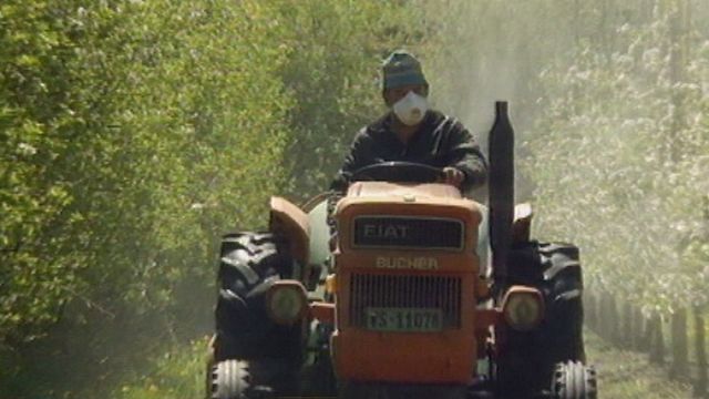 Pesticides dévastateurs en Valais. [RTS]