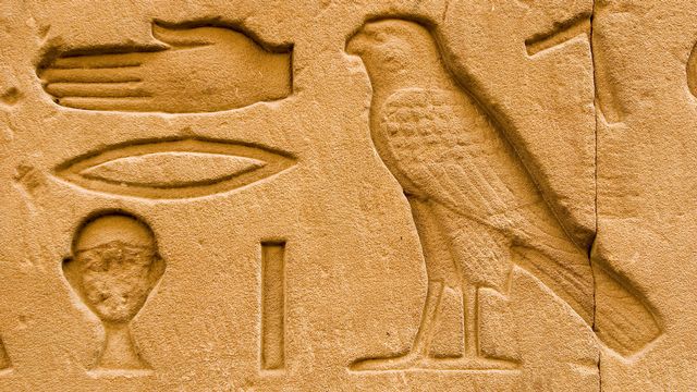 Un hiéroglyphe représentant un faucon sur le Temple d'Horus en Egypte. [Michel Gunther - Biosphoto/AFP]