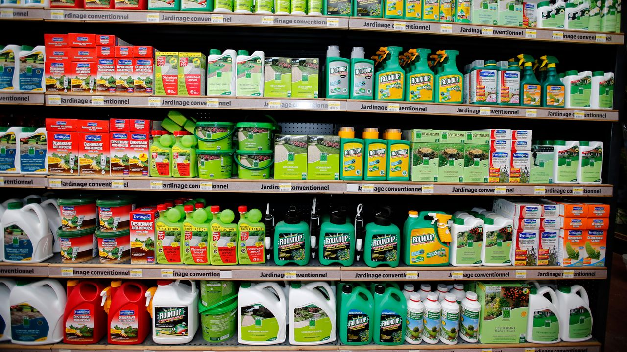 Le glyphosate est présent dans une majorité des herbicides commercialisés. [Charles Platiau - Reuters]