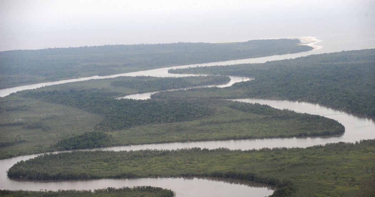 Реки и озера нигерии. Излучина реки нигер. Нигер Ривер Дельта. Внутренняя Дельта нигера. Озеро нигер.