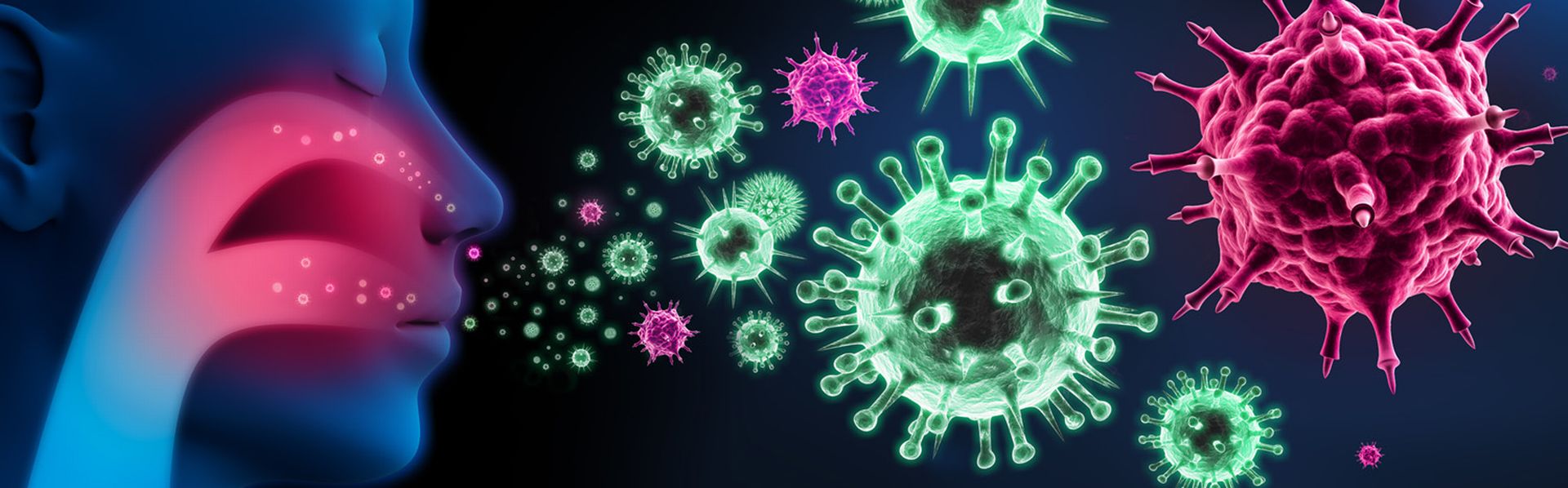 Le virus de la grippe [© psdesign1 - Fotolia]
