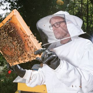Alexandre Aebi, un des coauteurs de l’étude de l'Université de Neuchâtel sur les néonicotinoïdes dans le miel, est aussi apiculteur. [Guillaume Perret - Université de Neuchâtel]
